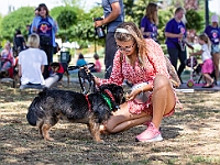 Adoptuj Warszawiaka  Wydarzenie promujące adopcję zwierząt. Organizator: Schronisko dla Bezdomnych Zwierząt "Na Paluchu". 18 sierpnia 2019, Park Raszyński w Raszynie. : park raszyński, adoptuj warszawiaka, na paluchu, schronisko dla zwierząt, centrum warszawy, raszyn